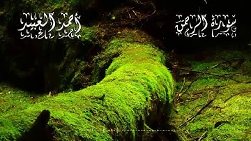 سورة الرحمن و الملك، الواقعة و يس| القاريء أحمد العبيد  Surah Al Rahman- AMoulk- Yaseen-Al Waqeaa