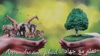 النص السماعي الثاني :اليوم العالمي للغابة  الجديد في اللغة العربية.