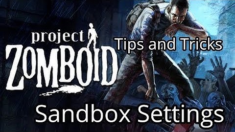 Project Zomboid Tips and Tricks: Sandbox Settings Explained