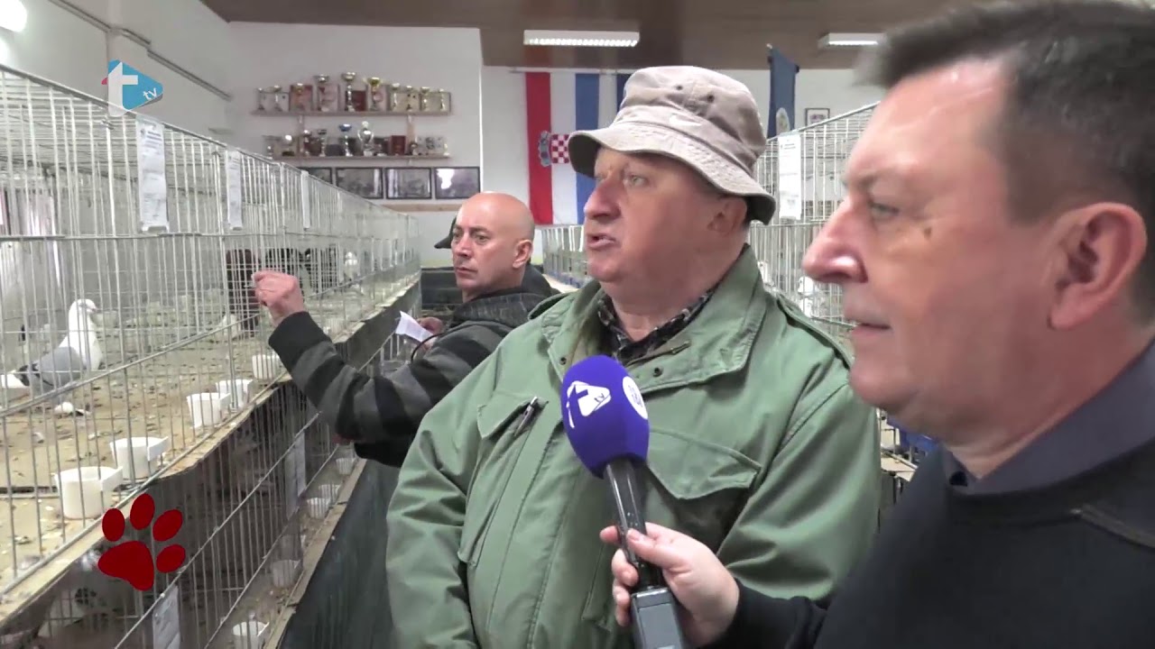 Životinjska farma 83 03022018 Izložba malih životinja 3.dio