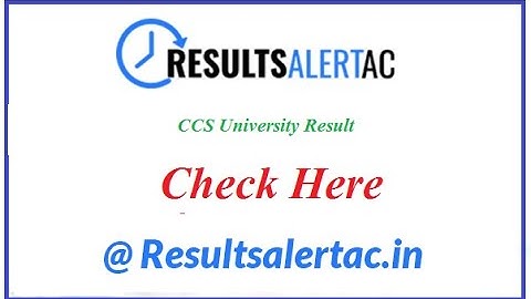 CCS University Result 2019 – 2020 Check BA B.Com B.Ed B.Sc MA 1st 2nd 3rd Year Result | Result Alert