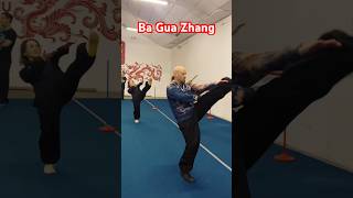 八卦掌 Ba Gua Zhang #wushu #yopracticowushu #salud