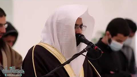 تلاوة خاشعة لسورة عبس للشيخ ناصر القطامي