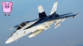 Crazy Ebay Listings - Slappedhamtv