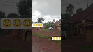 Oneni Maajabu Ya Musa funny short shortsfeed viral viral