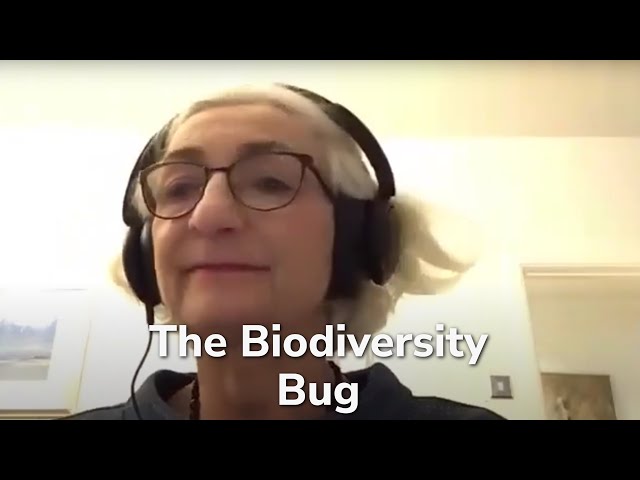 "The Biodiversity Bug" - Deb Altman (Newcastle Reform Synagogue)