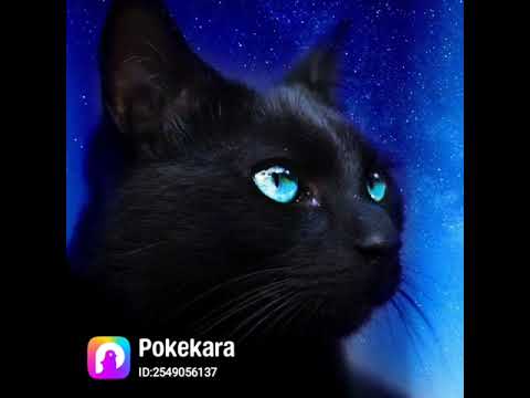 magnet｜初音ミク・巡音ルカ【歌ってみた】