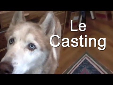 Le casting