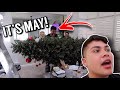 WE FINALLY TOOK DOWN OUR CHRISTMAS TREE!!