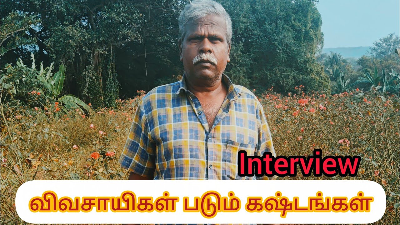 சிறு வயதில் இருந்தே விவசாயம் செய்யும் விவசாயிகளுடன் ஒரு நேர்காணல் 🌺விவசாயிகள் படும் கஷ்டங்கள்🌺 