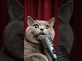 Baby cats Singing #cat #catshorts #catlovers #catvideos #happy #funny #aicat #singing
