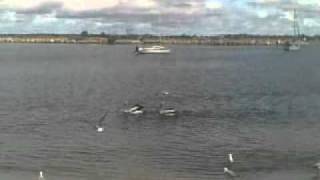 04062010.mp4
