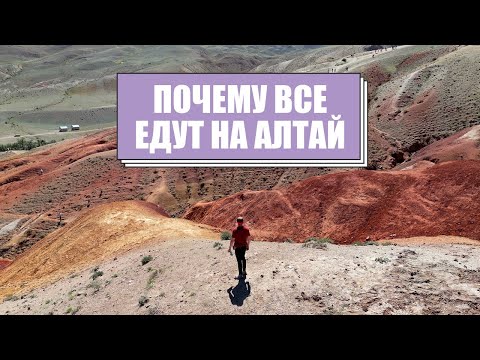 видео: Чем хорош велотуризм на Алтае | Почему стоит ехать одному
