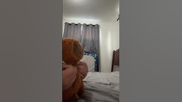 #comedy #funny #memes #trend #humor #capibara