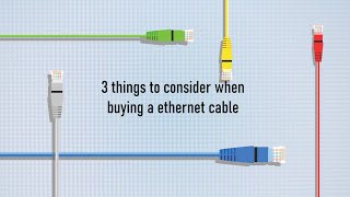 3 Things To Consider When Buying A Ethernet Cable Tech