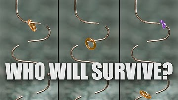 Jellyrings run in an endless loop - Who will survive?