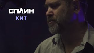 Сплин "Кит" chords