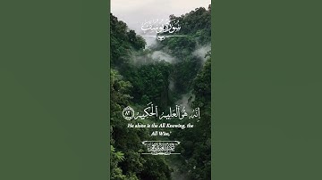 فَصَبْرٌ جَمِيلٌ ۖ عَسَى اللَّهُ أَن يَأْتِيَنِي بِهِمْ جَمِيعًا 😥💖 #سورة_يوسف #عبدالعزيز_سحيم