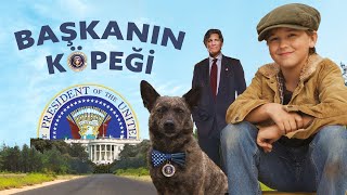 Başkanın Köpeği | Türkçe Alt Yazılı | Macera ve Aile Filmi | Tek Parça Full HD