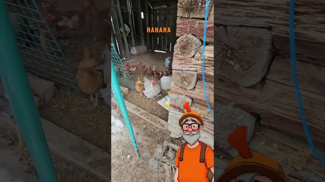 chicken friday