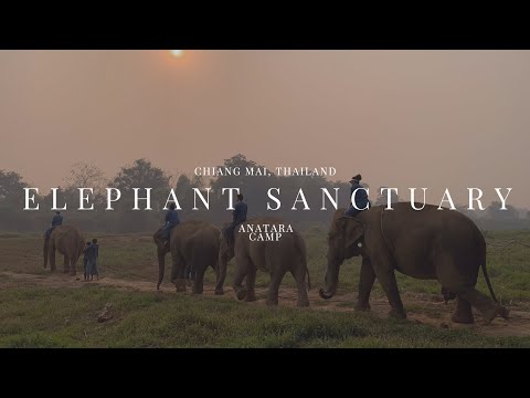 Elephant Sanctuary at Anantara Camp