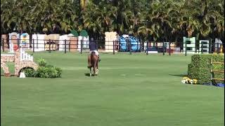 Garant and Beezie in the WEF week 11 5* FEI 1.40m