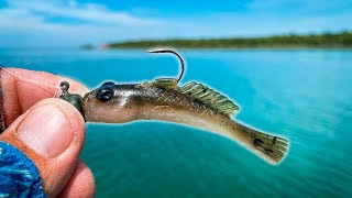 This REALISTIC Goby Bait Catches GIANT Smallmouth (Sight Fishing) 