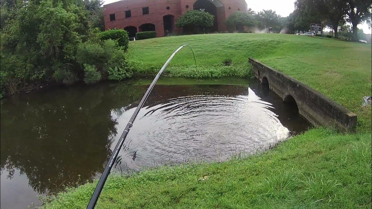 Bass Fishing (Jacksonville, FL) 6lb Bass Caught!!! YouTube