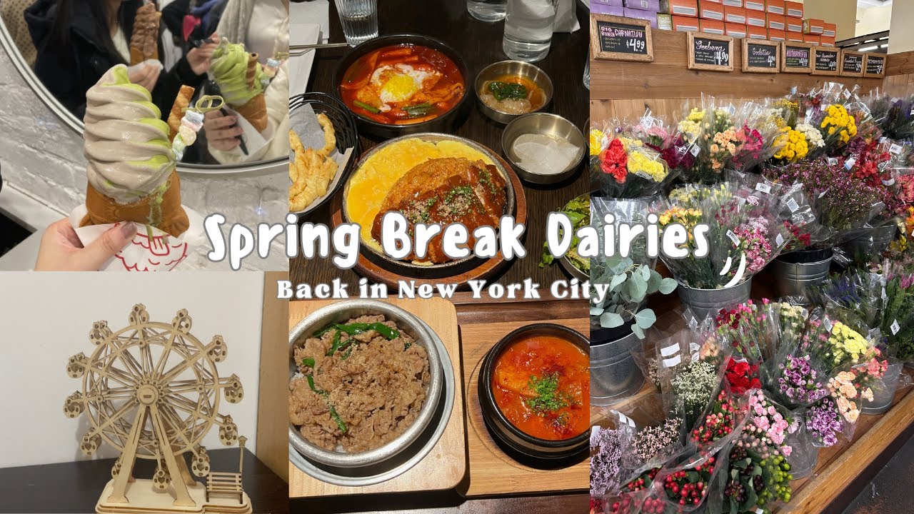 Spring Break Vlog in New York City | First Spring Break Back From ...