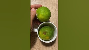 💖 Tẩy Cặn Bình Đun Nước đơn giản, không cần kỳ cọ. #coyenmeohay