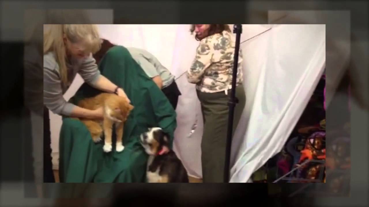 Pet Photo Fundraiser YouTube