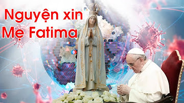 Thánh Ca Cầu Nguyện Cho Thế Giới Bình An & Vượt Qua Đại Dịch - Nguyện Xin Mẹ Fatima - Nguyễn Hồng Ân