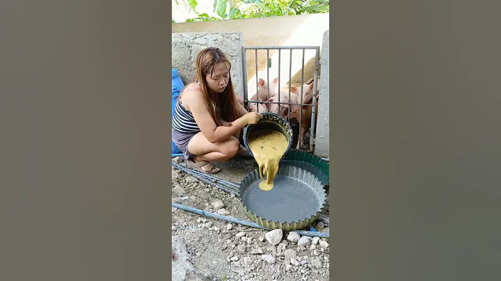 Simple Pig Feed Formula | Farm Life Hacks #pigfeed #farmlife #pig