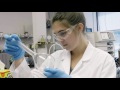 Lab Safety Essentials for a Secure Experimentation Experience