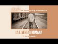 22. Libertad de elección (FLASHES DE ANTROPOLOGÍA FILOSÓFICA III)