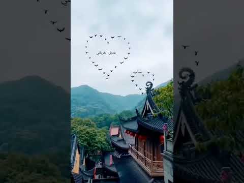 الله قريب الفرج ابو بكر سالم