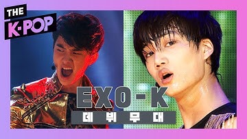 [The Debut Stage] EXO-K, MAMA