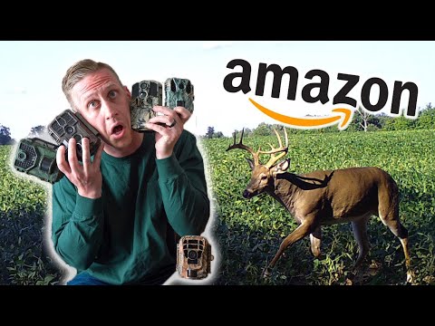 5 Cheap Trail Cams on Amazon - 2023 FULL REVIEW