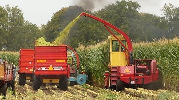 Zonder strijd geen overwinning: groene maïs een flinke uitdaging tijdens Oldtimer Hakseldag 2025