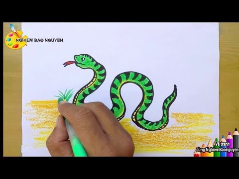 Vẽ Con Rắn/How To Draw A Snake - Youtube