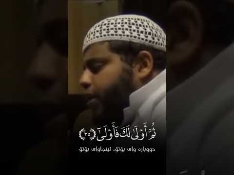 أيحسب الانسان ان يترك سدى