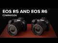 Canon EOS R5 and EOS R6 Comparison