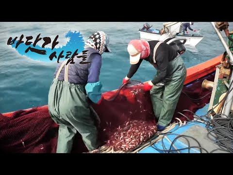바닷가 사람들 - 제주 바다의 맛, 자리돔이 온다_#002
