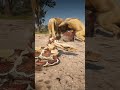 Essential Skills for Thriving in the Wild" Ss117…….#Shorts #rdr2