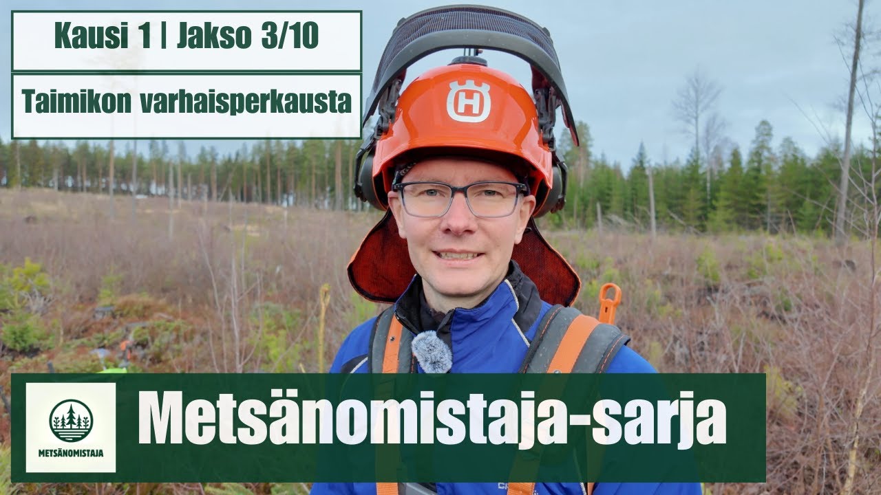 Metsänomistaja-sarjan 3.jakso | Taimikon varhaisperkaus