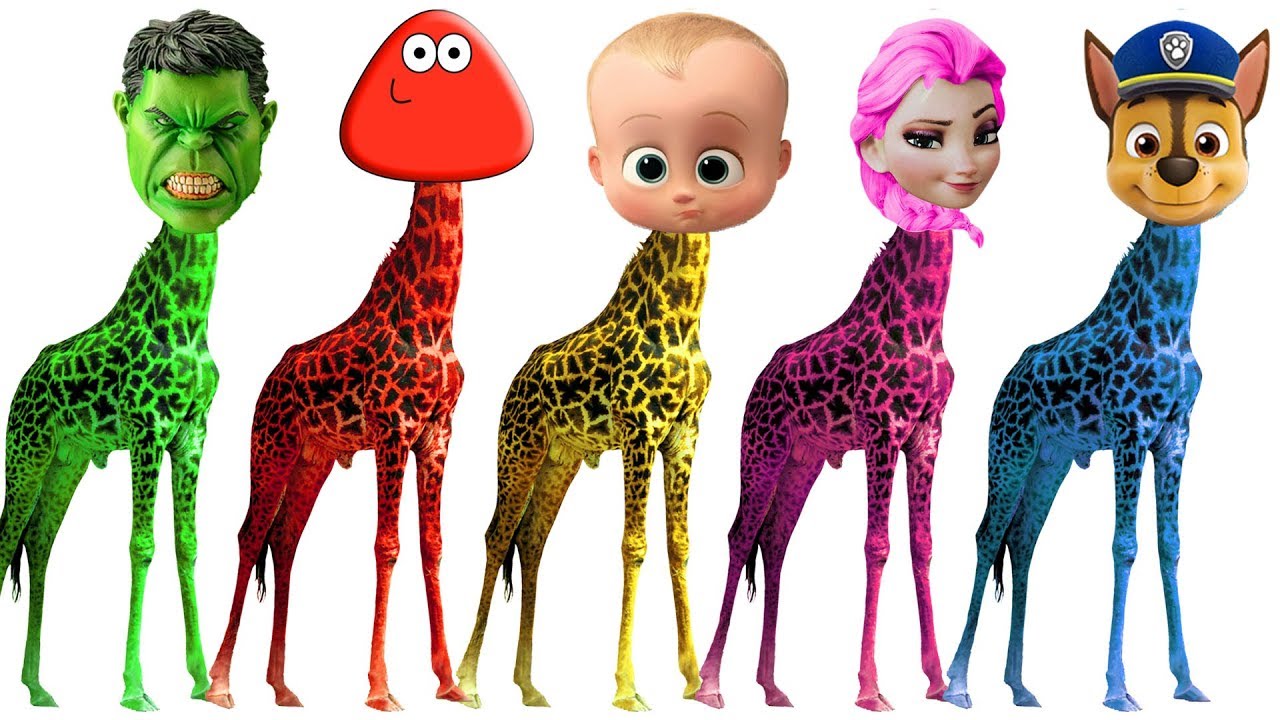 Learn Colors With Pou Chase Boss Baby Giraffe Finger Family Song ...