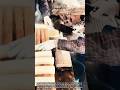 수직 전단 변형과 소성 유동 속도를 활용한 가래떡 연속 재단 원리 #worker #process #engineering #foodprocessing #diy