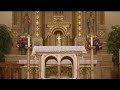 catholic church
