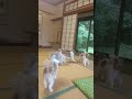 あきこぱぴぷぺぽ♥️よろしくお願いいたします❤️