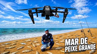 TÉCNICAS INFALÍVEIS para PESCAR muitos PEIXES na PESCARIA DE PRAIA!!! Pescando e COMENDO. 